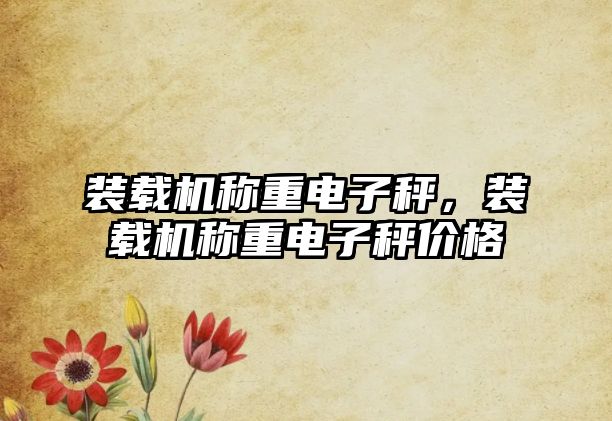 裝載機稱重電子秤，裝載機稱重電子秤價格
