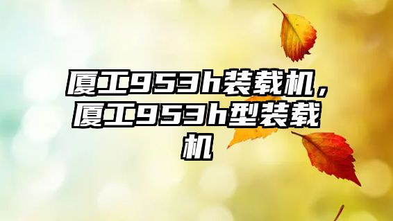 廈工953h裝載機,廈工953h型裝載機