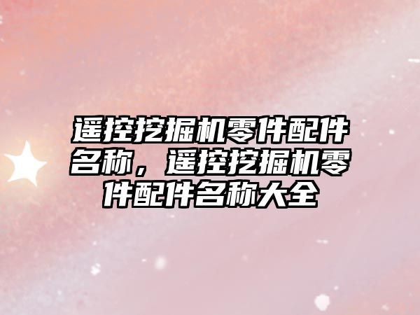 遙控挖掘機零件配件名稱，遙控挖掘機零件配件名稱大全