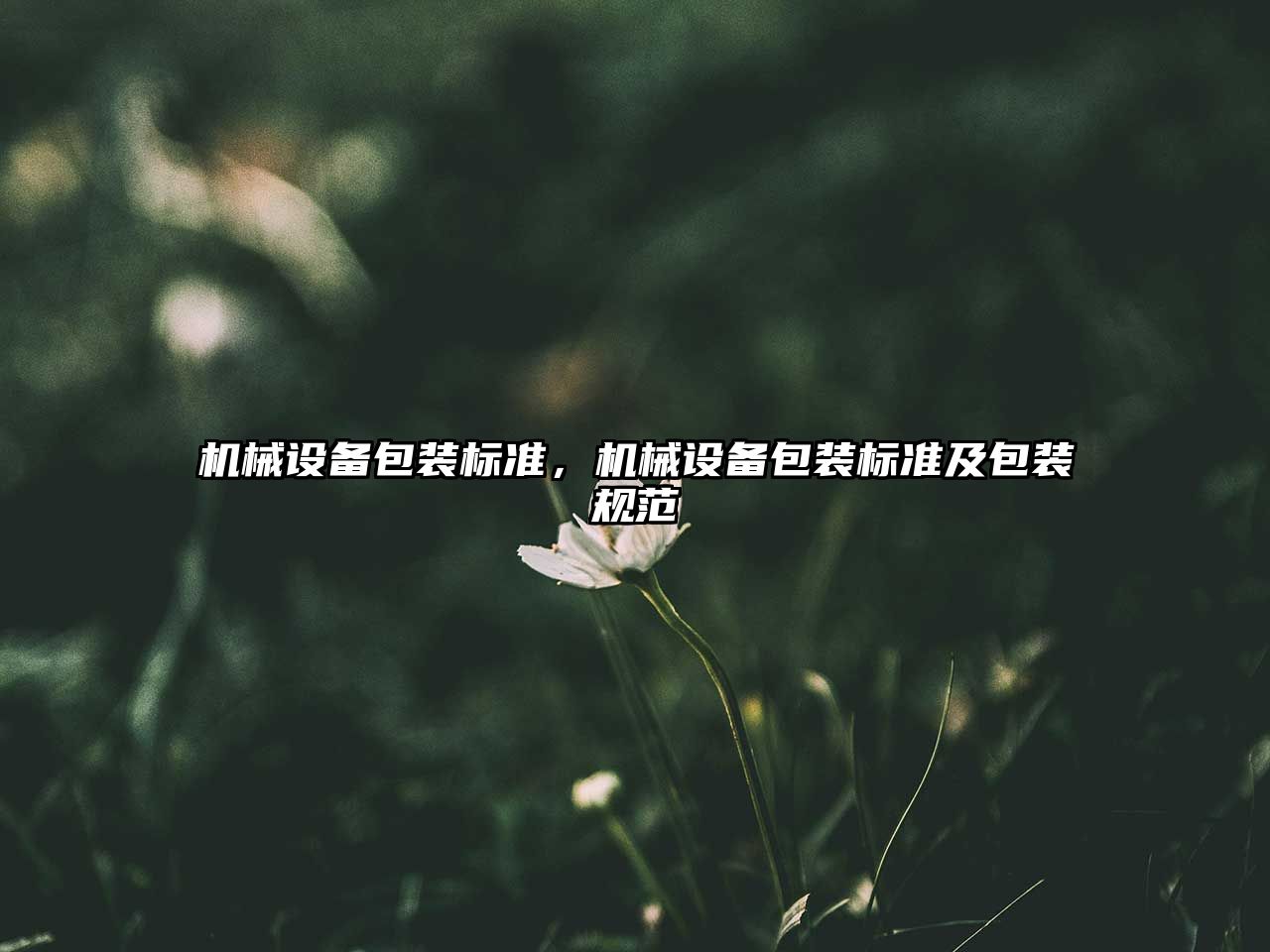 機(jī)械設(shè)備包裝標(biāo)準(zhǔn)，機(jī)械設(shè)備包裝標(biāo)準(zhǔn)及包裝規(guī)范