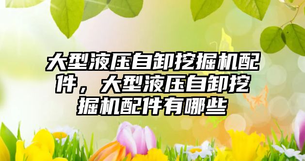 大型液壓自卸挖掘機配件，大型液壓自卸挖掘機配件有哪些