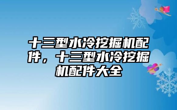 十三型水冷挖掘機配件，十三型水冷挖掘機配件大全