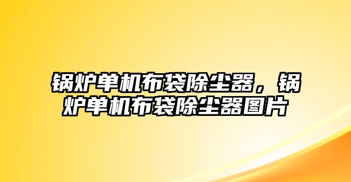 鍋爐單機(jī)布袋除塵器，鍋爐單機(jī)布袋除塵器圖片