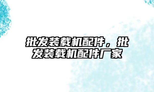 批發(fā)裝載機(jī)配件，批發(fā)裝載機(jī)配件廠家
