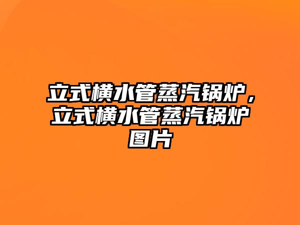 立式橫水管蒸汽鍋爐，立式橫水管蒸汽鍋爐圖片