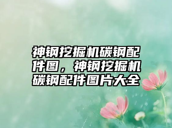 神鋼挖掘機碳鋼配件圖，神鋼挖掘機碳鋼配件圖片大全