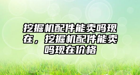 挖掘機(jī)配件能賣嗎現(xiàn)在，挖掘機(jī)配件能賣嗎現(xiàn)在價(jià)格