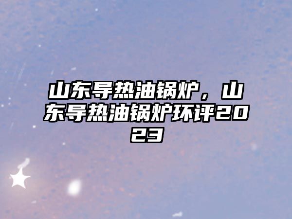 山東導(dǎo)熱油鍋爐，山東導(dǎo)熱油鍋爐環(huán)評2023
