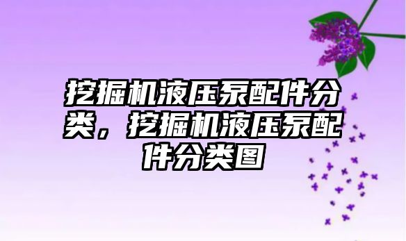 挖掘機液壓泵配件分類，挖掘機液壓泵配件分類圖