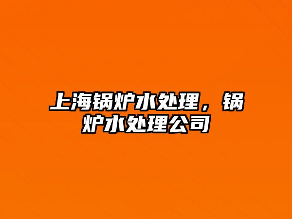 上海鍋爐水處理，鍋爐水處理公司