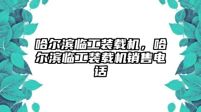 哈爾濱臨工裝載機(jī)，哈爾濱臨工裝載機(jī)銷售電話