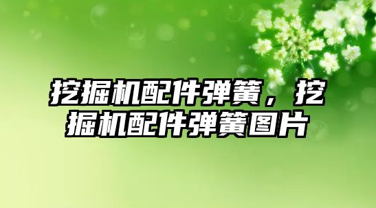 挖掘機(jī)配件彈簧，挖掘機(jī)配件彈簧圖片