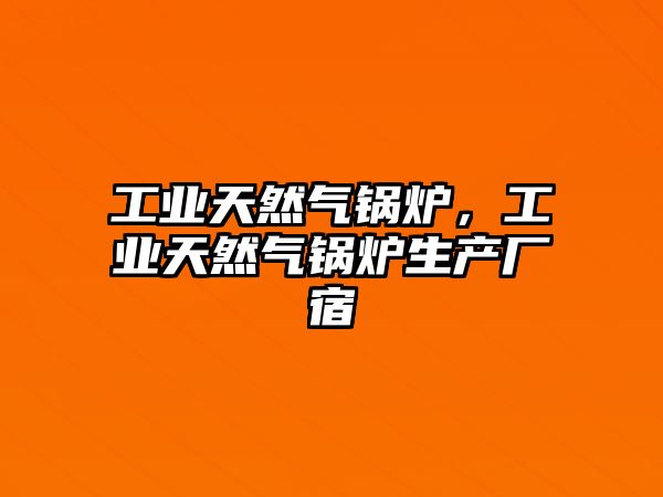 工業(yè)天然氣鍋爐，工業(yè)天然氣鍋爐生產(chǎn)廠宿