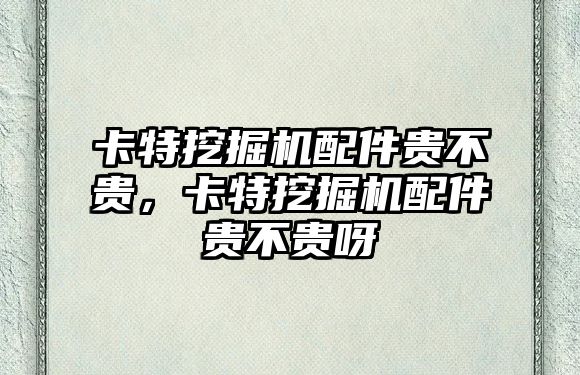 卡特挖掘機(jī)配件貴不貴，卡特挖掘機(jī)配件貴不貴呀