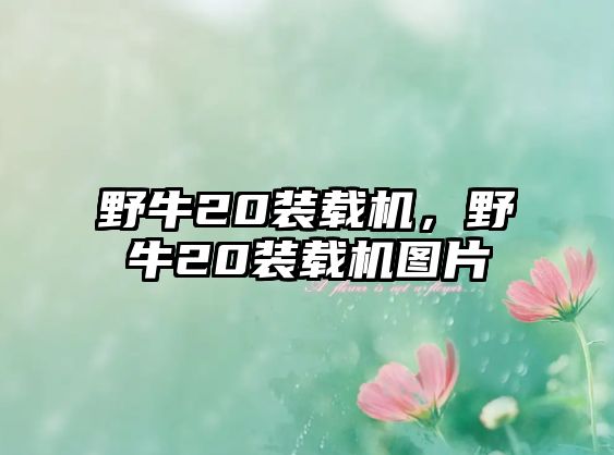 野牛20裝載機，野牛20裝載機圖片