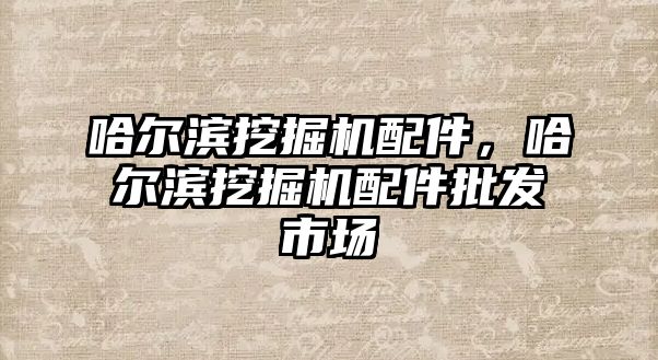 哈爾濱挖掘機(jī)配件，哈爾濱挖掘機(jī)配件批發(fā)市場(chǎng)