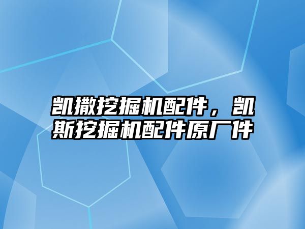 凱撒挖掘機(jī)配件，凱斯挖掘機(jī)配件原廠件