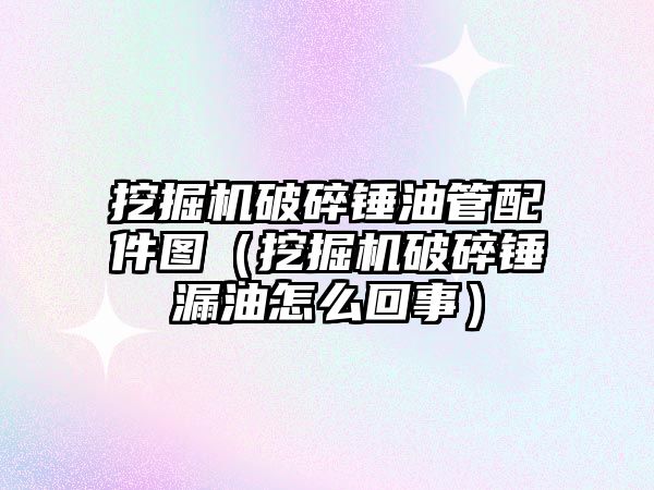 挖掘機破碎錘油管配件圖（挖掘機破碎錘漏油怎么回事）