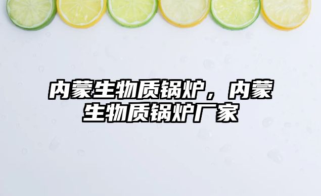 內(nèi)蒙生物質(zhì)鍋爐，內(nèi)蒙生物質(zhì)鍋爐廠(chǎng)家