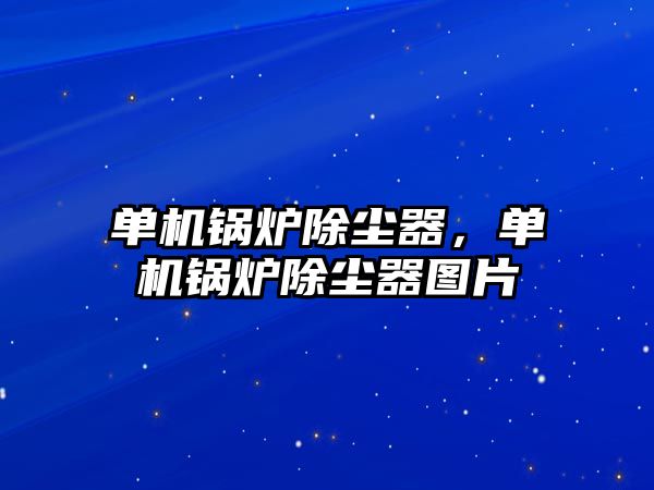 單機(jī)鍋爐除塵器，單機(jī)鍋爐除塵器圖片