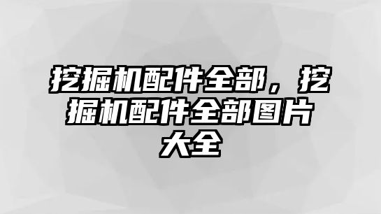 挖掘機(jī)配件全部，挖掘機(jī)配件全部圖片大全