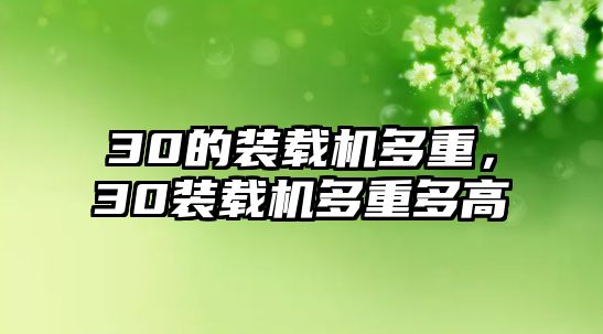 30的裝載機(jī)多重，30裝載機(jī)多重多高