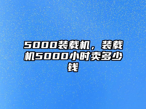5000裝載機(jī)，裝載機(jī)5000小時(shí)賣多少錢