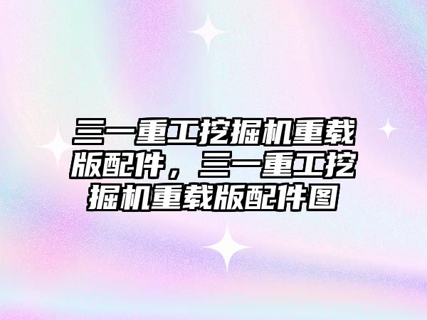 三一重工挖掘機重載版配件，三一重工挖掘機重載版配件圖