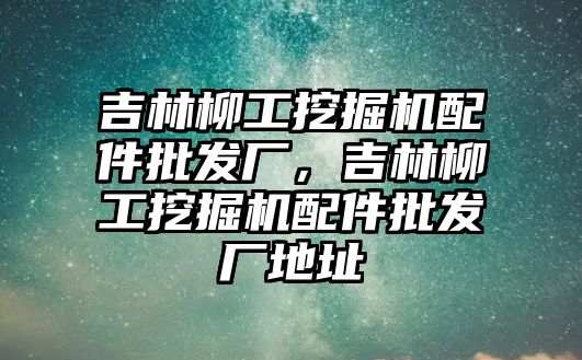 吉林柳工挖掘機(jī)配件批發(fā)廠，吉林柳工挖掘機(jī)配件批發(fā)廠地址