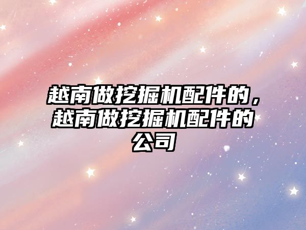 越南做挖掘機(jī)配件的，越南做挖掘機(jī)配件的公司