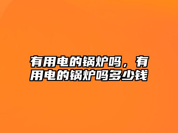 有用電的鍋爐嗎，有用電的鍋爐嗎多少錢