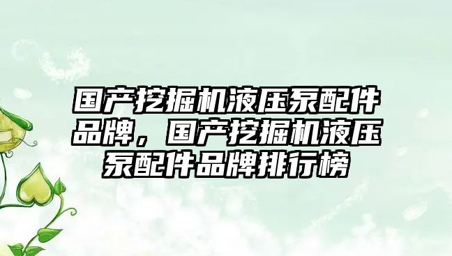 國產(chǎn)挖掘機(jī)液壓泵配件品牌，國產(chǎn)挖掘機(jī)液壓泵配件品牌排行榜