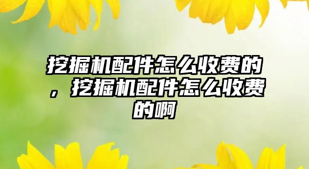 挖掘機(jī)配件怎么收費(fèi)的，挖掘機(jī)配件怎么收費(fèi)的啊