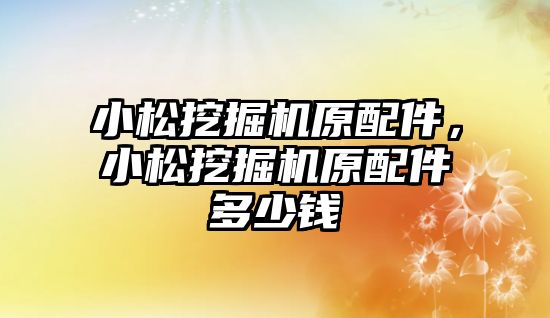 小松挖掘機(jī)原配件，小松挖掘機(jī)原配件多少錢