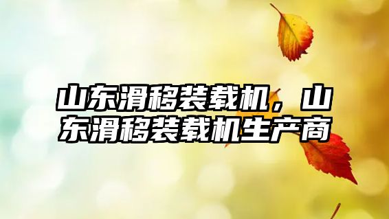 山東滑移裝載機，山東滑移裝載機生產(chǎn)商