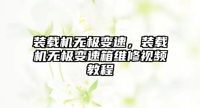 裝載機(jī)無極變速，裝載機(jī)無極變速箱維修視頻教程