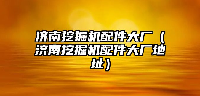 濟南挖掘機配件大廠（濟南挖掘機配件大廠地址）