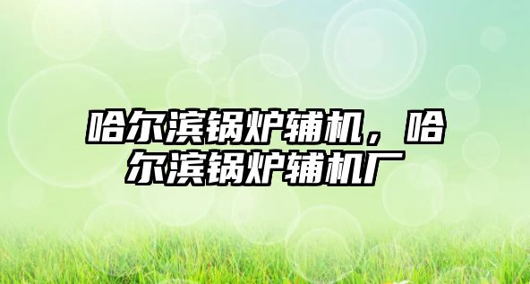 哈爾濱鍋爐輔機，哈爾濱鍋爐輔機廠