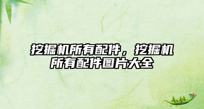 挖掘機(jī)所有配件，挖掘機(jī)所有配件圖片大全