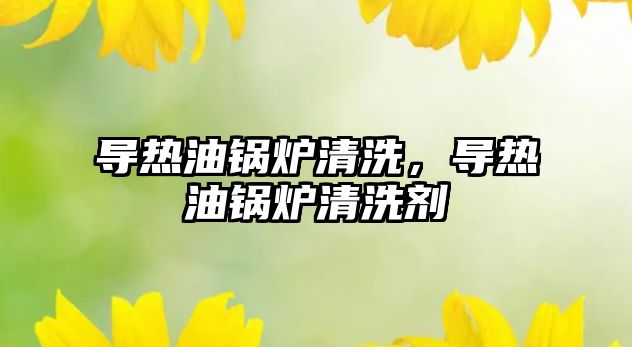導(dǎo)熱油鍋爐清洗，導(dǎo)熱油鍋爐清洗劑