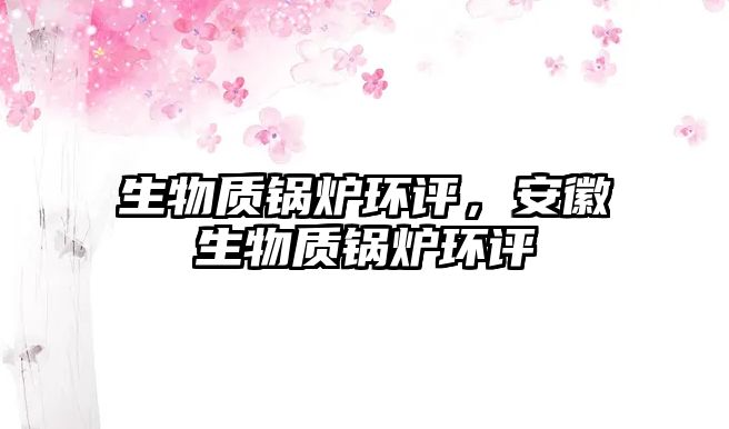 生物質(zhì)鍋爐環(huán)評，安徽生物質(zhì)鍋爐環(huán)評