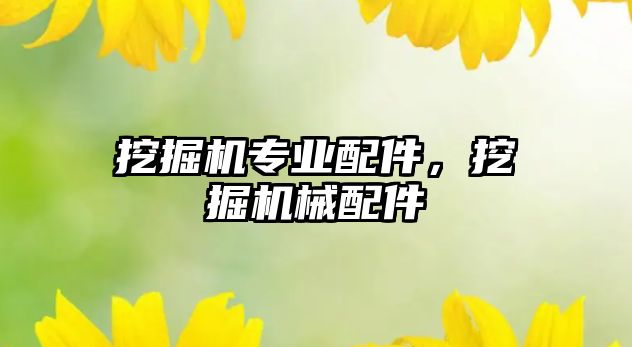 挖掘機(jī)專(zhuān)業(yè)配件，挖掘機(jī)械配件