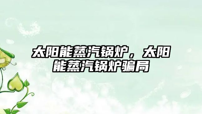 太陽能蒸汽鍋爐，太陽能蒸汽鍋爐騙局