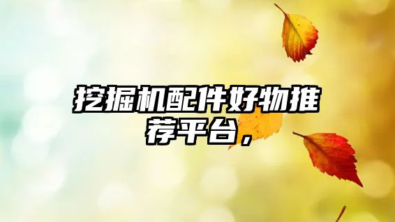 挖掘機(jī)配件好物推薦平臺，