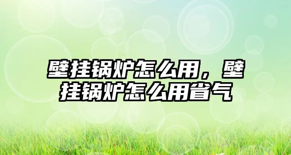 壁掛鍋爐怎么用，壁掛鍋爐怎么用省氣