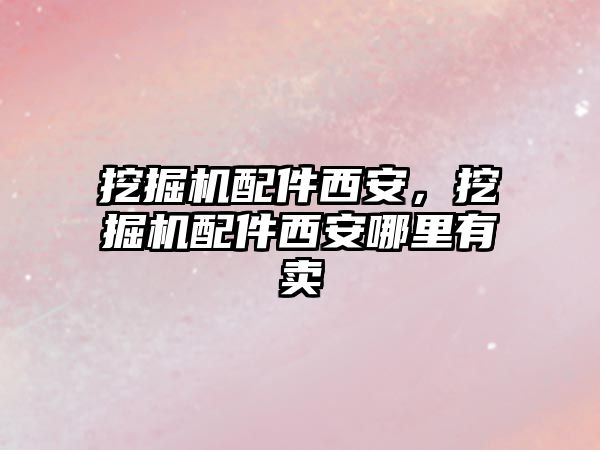 挖掘機(jī)配件西安，挖掘機(jī)配件西安哪里有賣(mài)