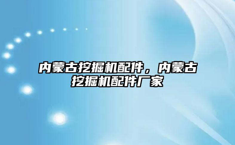 內(nèi)蒙古挖掘機配件，內(nèi)蒙古挖掘機配件廠家