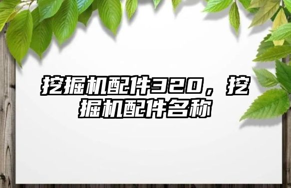 挖掘機(jī)配件320，挖掘機(jī)配件名稱(chēng)