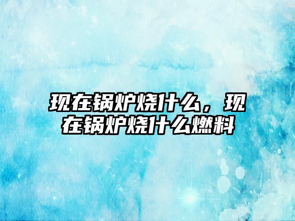 現(xiàn)在鍋爐燒什么，現(xiàn)在鍋爐燒什么燃料