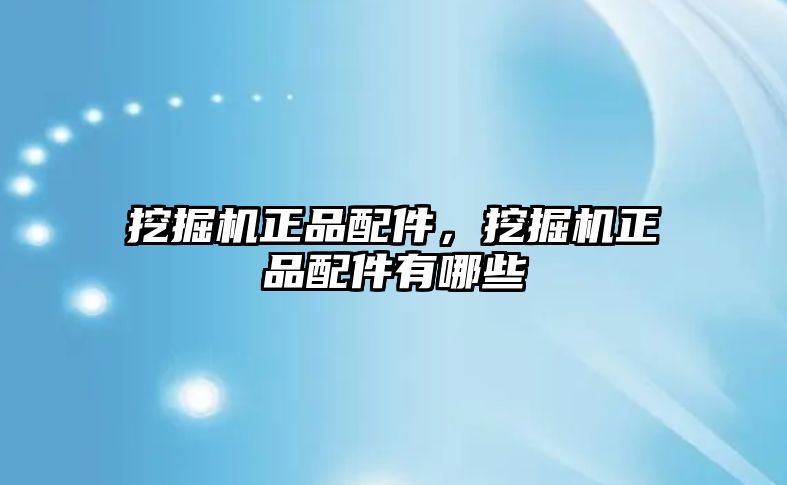 挖掘機正品配件,挖掘機正品配件有哪些